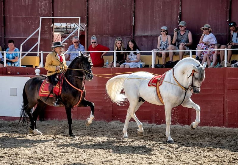 Fuengirola: Spanish Horse Show with Optional Dinner/Flamenco - Bus pickup from Malaga to Fuengirola