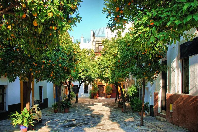 Full Day Seville Tour with tickets (optional Tapas & Flamenco) - Seville Cathedral and Christopher Columbus