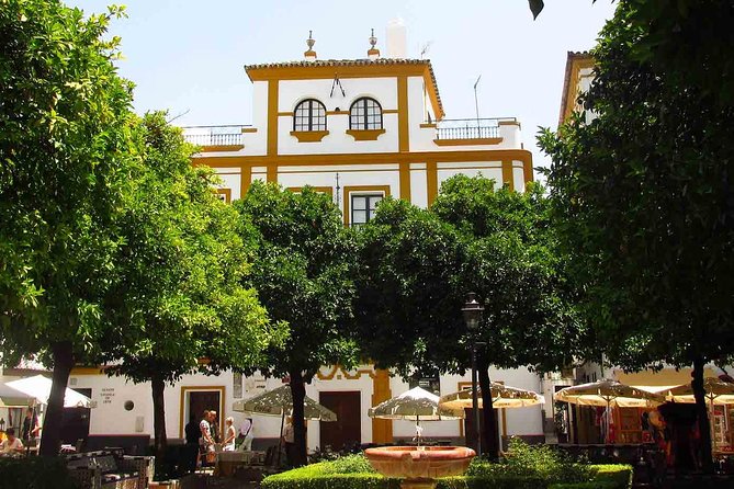 Full Day Seville Tour with tickets (optional Tapas & Flamenco) - Optional tapas at Taberna Belmonte