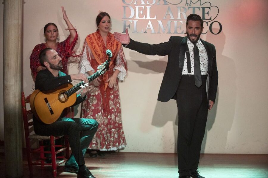 Granada: 1-Hour Traditional Flamenco Show - What the one-hour performance includes
