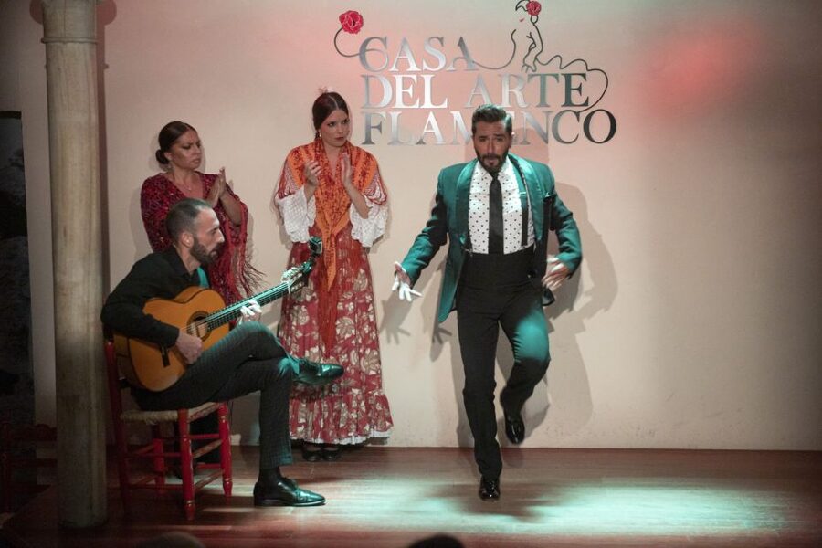 Granada: 1-Hour Traditional Flamenco Show - Why the different flamenco styles matter