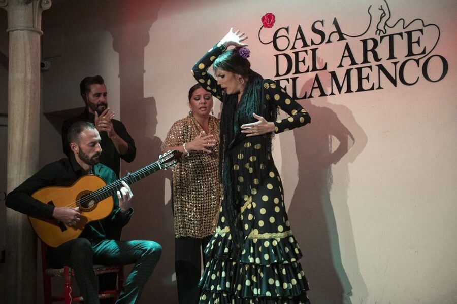 Granada: 1-Hour Traditional Flamenco Show - The strongest part: passion without a long time commitment
