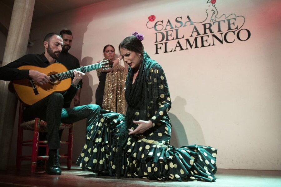 Granada: 1-Hour Traditional Flamenco Show - Who will enjoy this show most