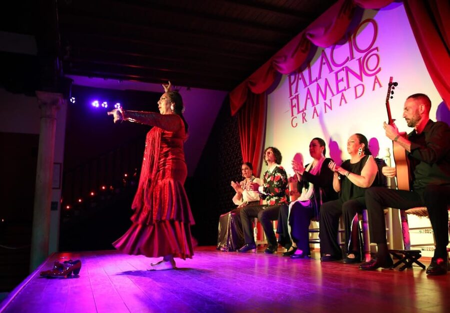 Granada: 1-Hour Traditional Flamenco Show at Palacio - Entering Palacio de los Olvidados near Plaza Nueva