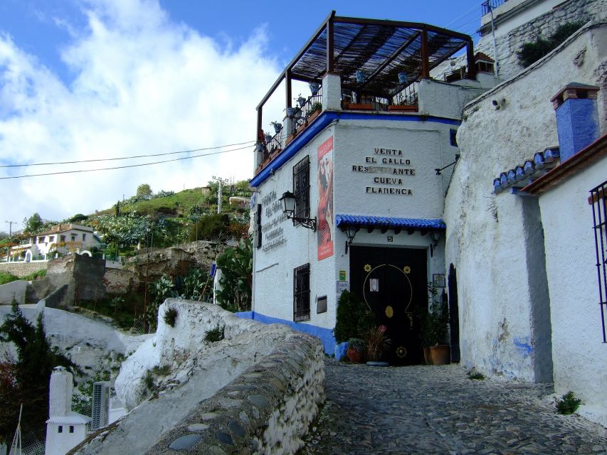 Granada: Albaicín & Sacromonte Walking Tour & Flamenco Show - What the flamenco show adds
