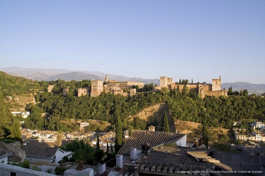 Granada: Alhambra Guided Tour and Flamenco Show - The Nasrid Palaces: the reason to take the tour