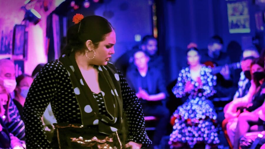Granada: Flamenco Show at Cueva de la Rocío - Key points to know before booking