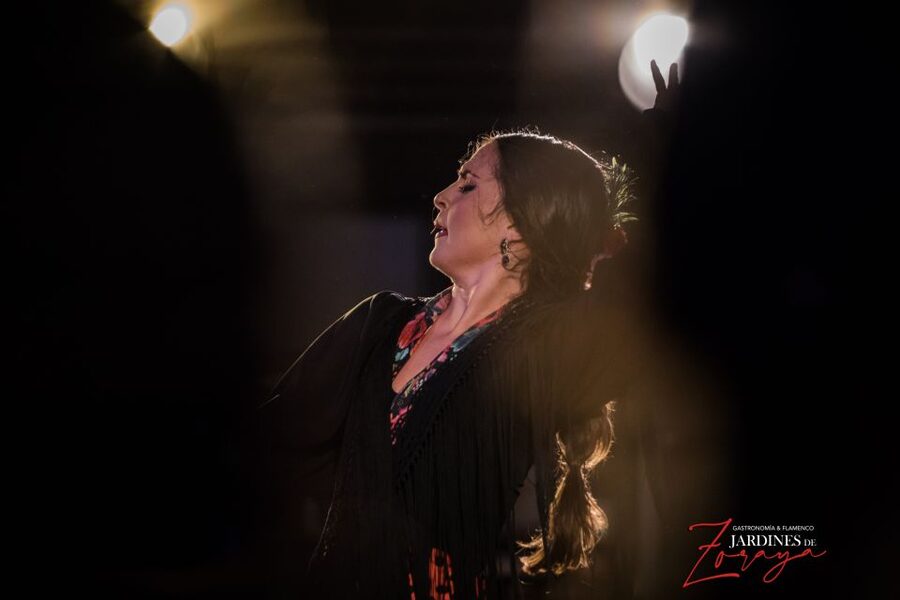 Granada: Flamenco Show in Albayzín - Jardines de Zoraya - What happens during the one-hour performance