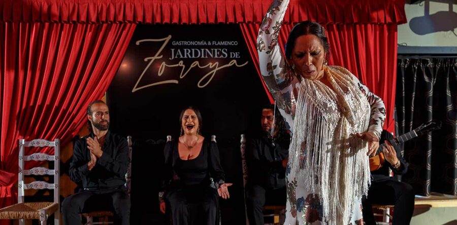 Granada: Flamenco Show in Albayzín - Jardines de Zoraya - The dancers, singers, and guitarist