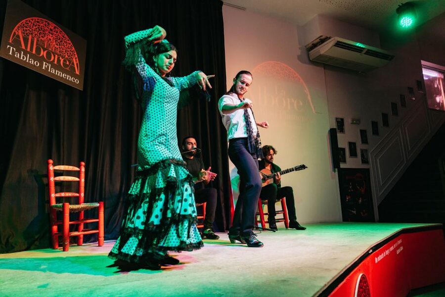 Granada: Flamenco Show in La Alboreá - Choosing the wine and Iberian snack option