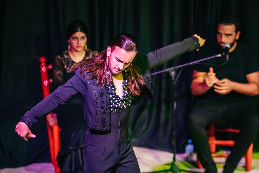 Granada: Flamenco Show in La Alboreá - Who will enjoy this show most