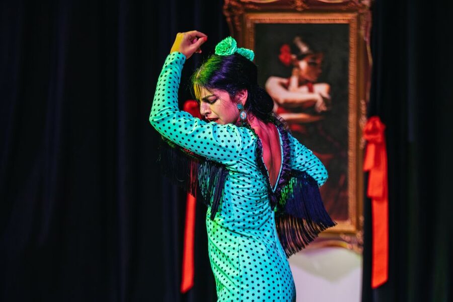 Granada: Flamenco Show in La Alboreá - Arriving at the central tablao
