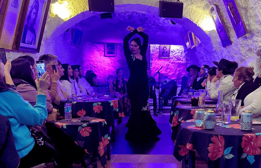 Granada: Flamenco Show in the Cave LA FARAONA - Key Points at a Glance
