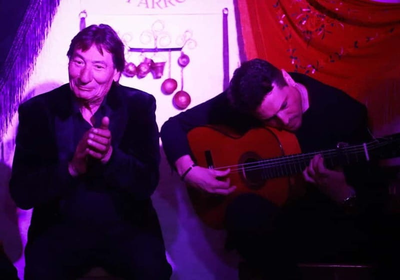 Granada: Flamenco Show Los Parrones in the Sacromonte Caves - Why the Small Room Matters