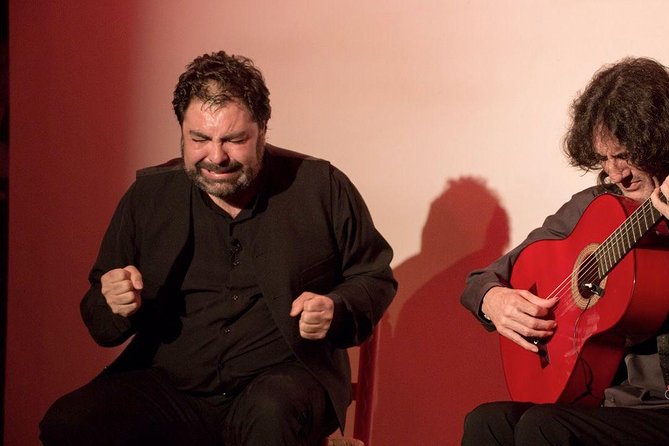 Granada Flamenco & Tapas Tour - Should you book the Granada tapas and flamenco tour?