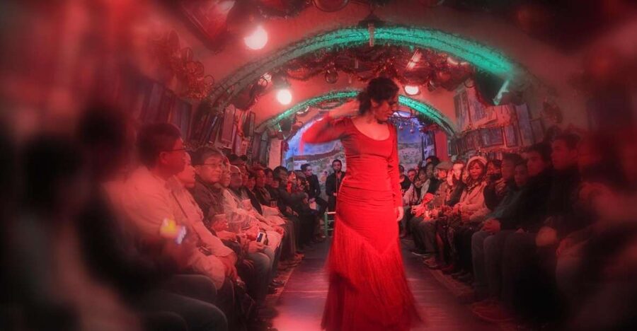 Granada: Sacromonte Caves Flamenco Show - Key points to know before you book