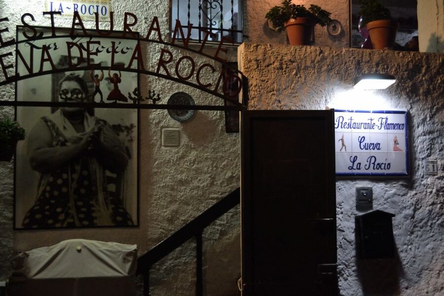 Granada: Sacromonte Caves Flamenco Show - Who will enjoy this show most?