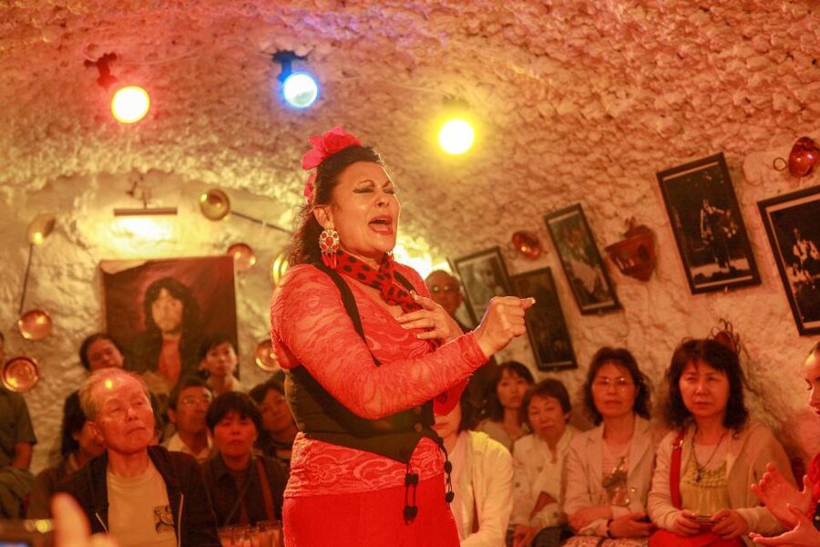 Granada: Sacromonte Caves Flamenco Show with Dinner - Is $68 good value?