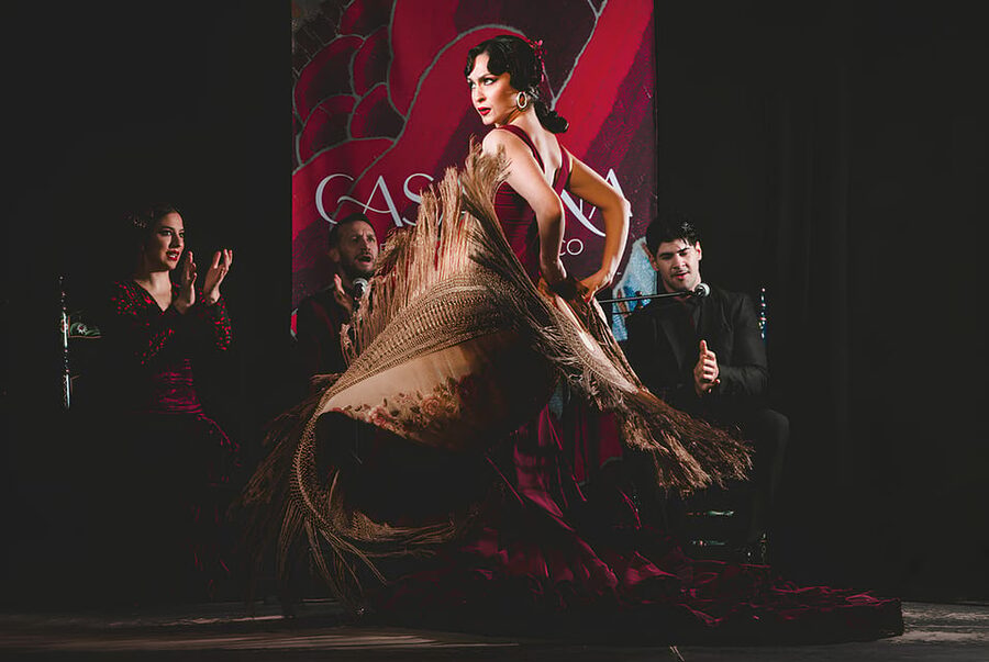Granada: Traditional Flamenco Show at Tablao Casa Ana - Getting to the tablao and settling in