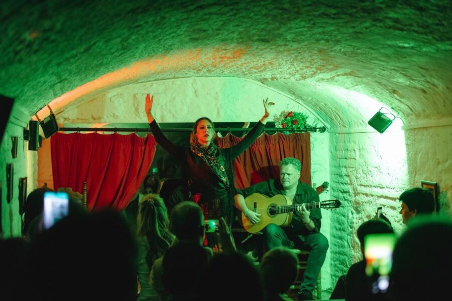 Granada: Traditional Flamenco Show in a Cave Entry Ticket - Key points before you book