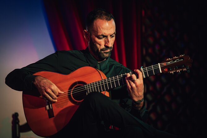 Grenada: Flamenco Palace, the best show in the center - Who will enjoy this most?