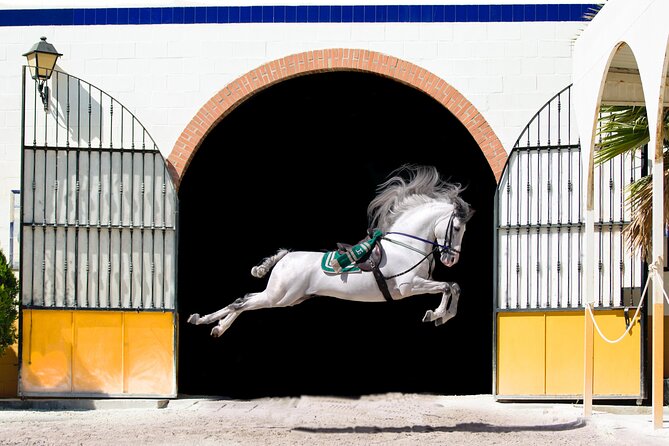 Horse and Flamenco Show in Malaga - At a glance