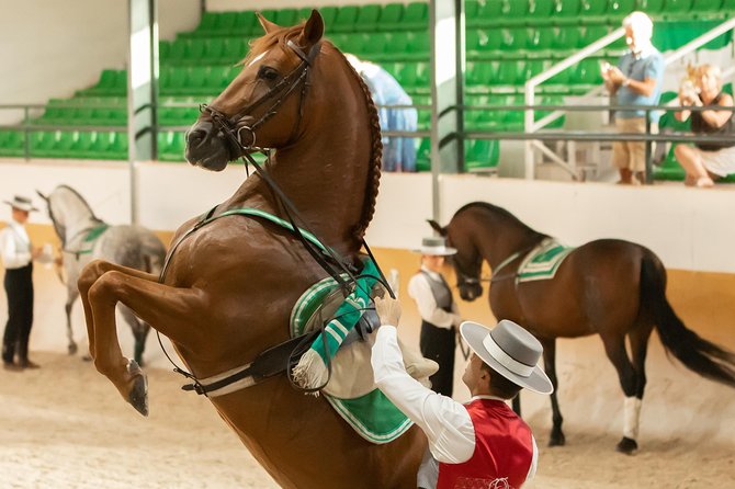 Horse and Flamenco Show in Malaga - Arrive early for the stable visit