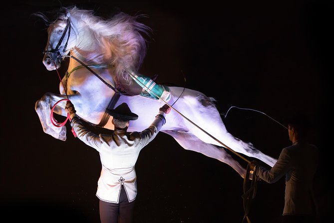 Horse and Flamenco Show in Malaga - The flamenco segment is not a full flamenco show
