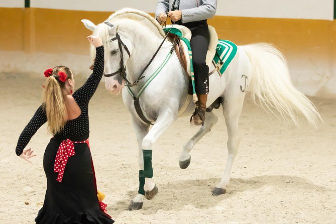 Horse and Flamenco Show in Malaga - The riders and José Carlos González Guerrero