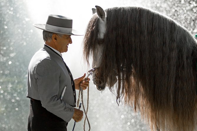 Horse and Flamenco Show in Malaga - Price, timing, and practical value