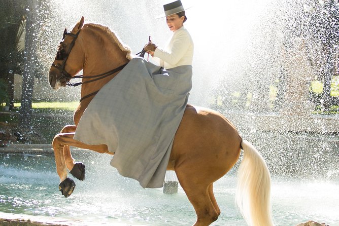 Horse and Flamenco Show in Malaga - Who will enjoy this most