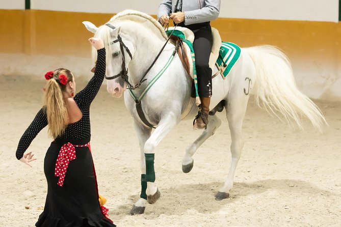 Horse and Flamenco Show in Malaga with Dinner - Is $86.57 a good value?