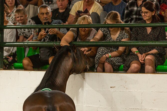 Horse and Flamenco Show in Malaga with Dinner - Who will enjoy this evening most?