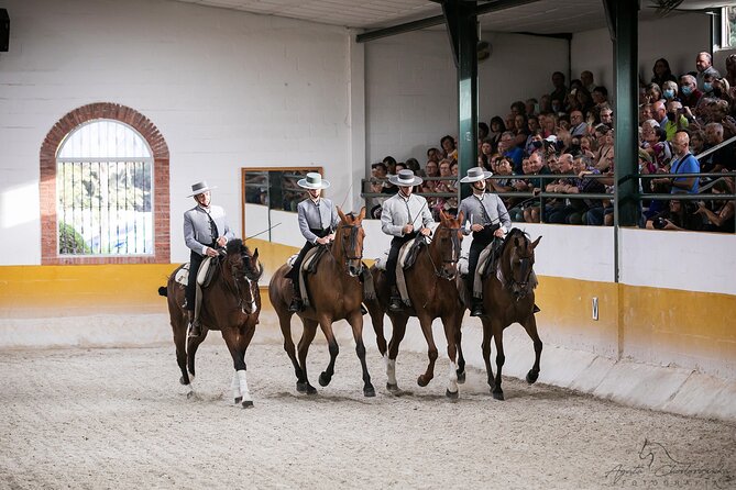 Horse and Flamenco Show in Malaga with Dinner - Moving from the ranch to Torremolinos