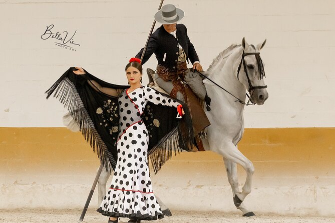 Horse and Flamenco Show in Malaga - Inside the 90-minute performance