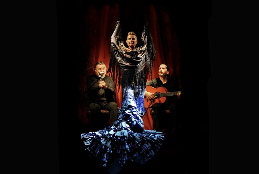 Intimate Authentic Flamenco Show in Barcelona at Casa Sors - What the evening includes