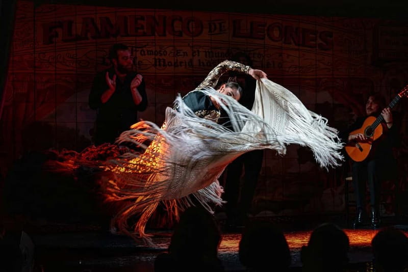 Madrid: Authentic Flamenco at Flamenco de Leones - What happens during the performance