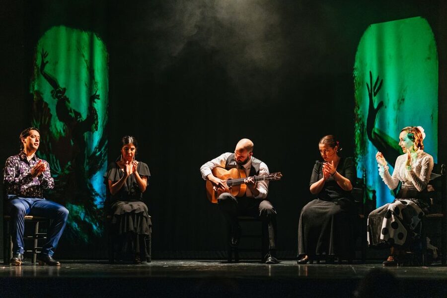 Madrid: "Emociones" Live Flamenco Performance - One Hour of Dancing, Singing, and Guitar