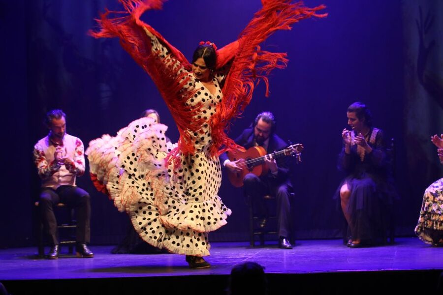 Madrid: "Emociones" Live Flamenco Performance - Who Will Enjoy This Madrid Flamenco Show