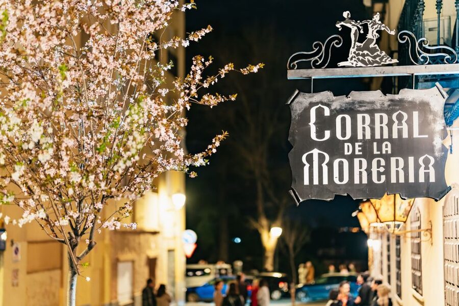 Madrid: Flamenco Show at Corral de la Moreria - Who will get the most from this experience