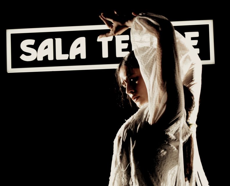 Madrid: Flamenco Show at Tablao Sala Temple with Drink - A good first flamenco show for visitors to Madrid