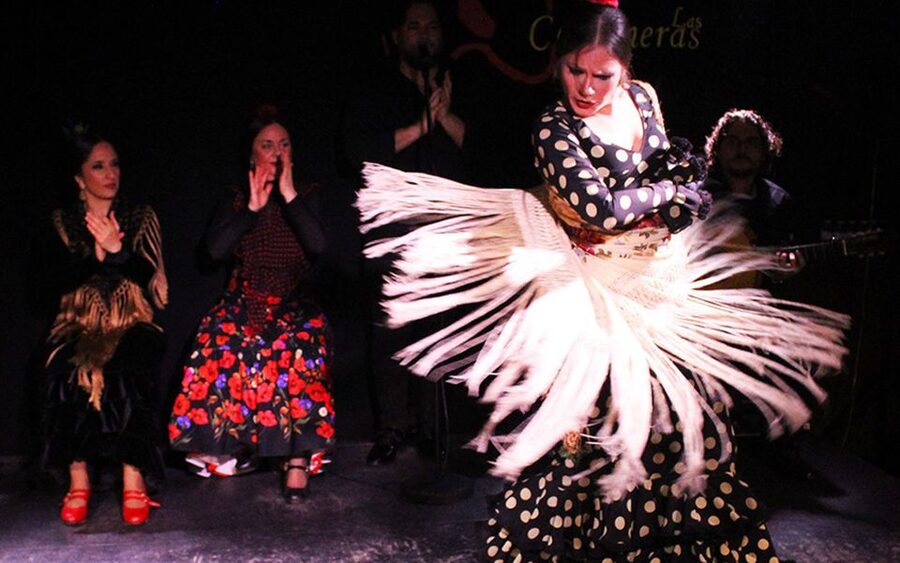 Madrid: Flamenco Show with Tapas and Wine Tour - Starting at Plaza de San Miguel