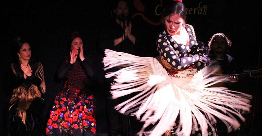 Madrid: Flamenco Show with Tapas and Wine Tour - Is $129 a fair price?