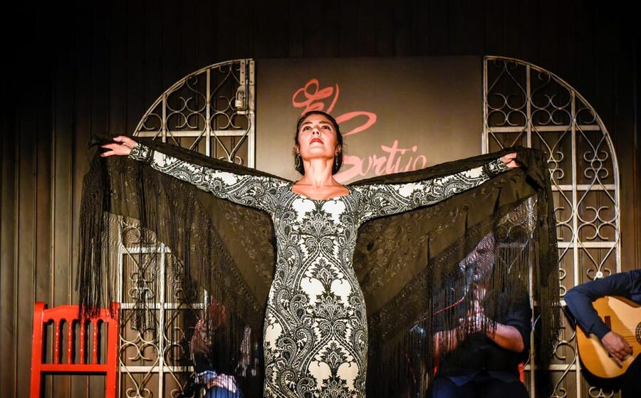 Madrid: Local Flamenco Show at El Cortijo - Who should book El Cortijo?