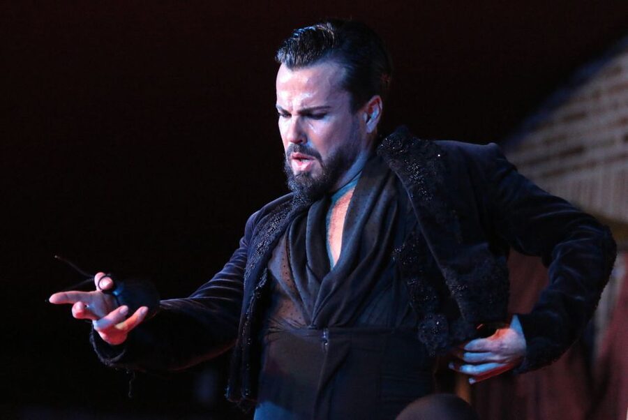 Madrid: Los Porches Flamenco Show with Tapas and Wine Ticket - My booking advice for different kinds of nights