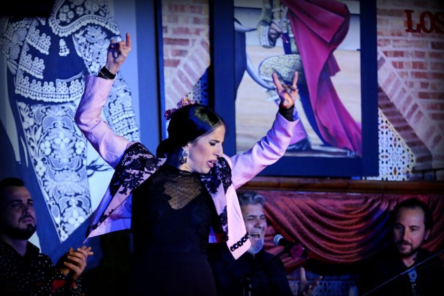 Madrid: Los Porches Flamenco Show with Tapas and Wine Ticket - The two-hour flamenco performance