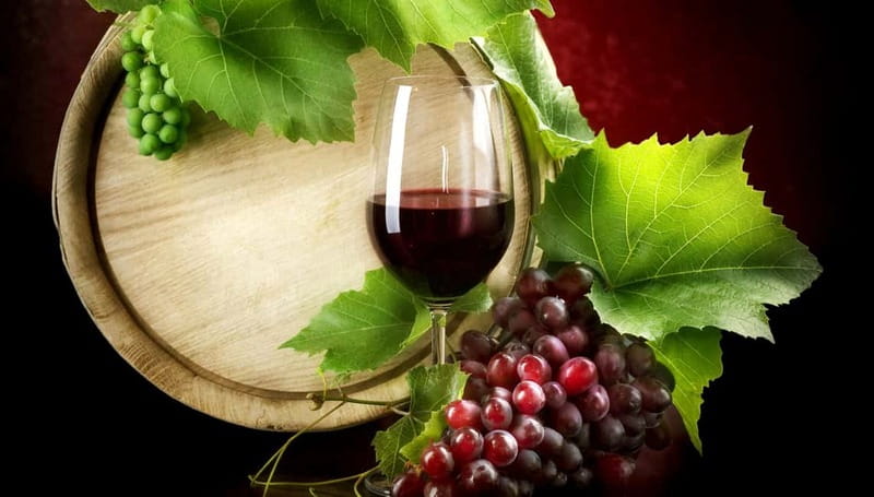 Madrid Wine Tasting, Flamenco Class and Trendy Bar - The flamenco master class