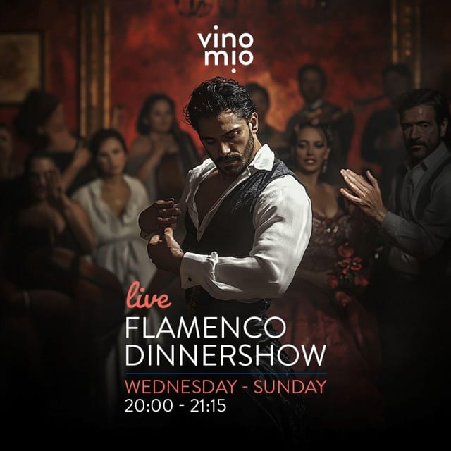 Malaga: Authentic Flamenco Dinner Show at Restaurant VinoMio - Key points at a glance