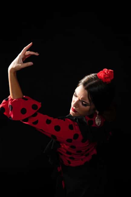 Malaga: Authentic Flamenco Dinner Show at Restaurant VinoMio - What the VinoMio flamenco night is really like