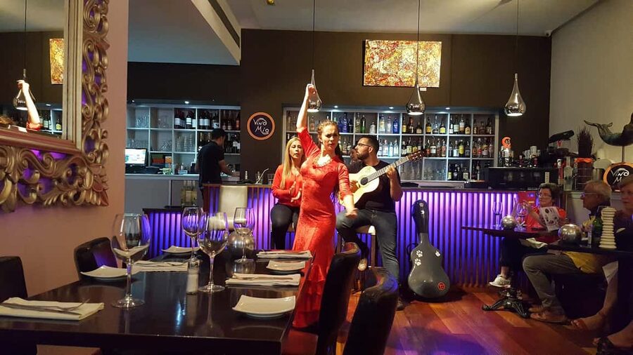 Malaga: Authentic Flamenco Dinner Show at Restaurant VinoMio - Accessibility and practical comfort